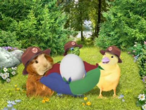 Les Wonder Choux sauvent un œuf