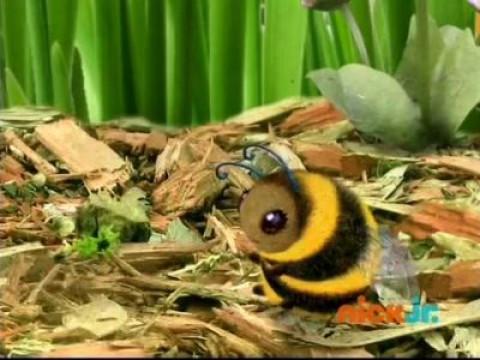 Les Wonder Choux sauvent une abeille