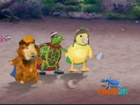 Les Wonder Choux sauvent la tortue de mer