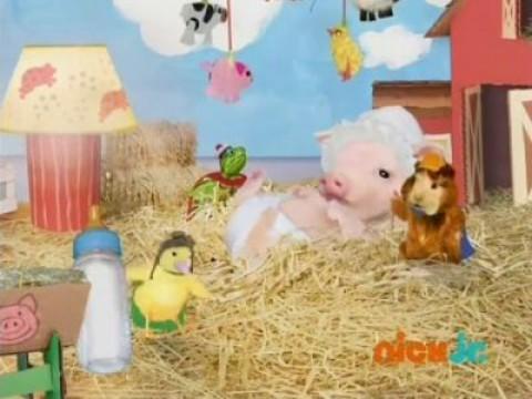 Les Wonder Choux et le bébé