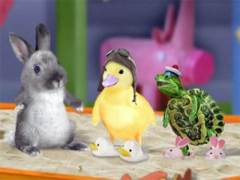 Les Wonder Choux, voici Ollie !