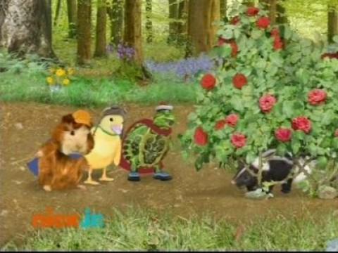 Les Wonder Choux sauvent un putois