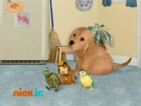 Les Wonder Choux sauvent un chiot