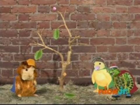 Les Wonder Choux sauvent un arbre