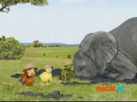 Les Wonder Choux sauvent un éléphant