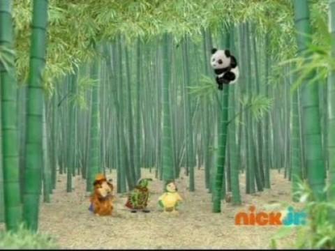 Les Wonder Choux sauvent un panda