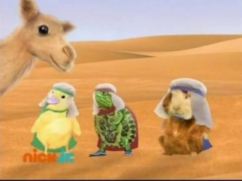 Les Wonder Choux sauvent un chameau