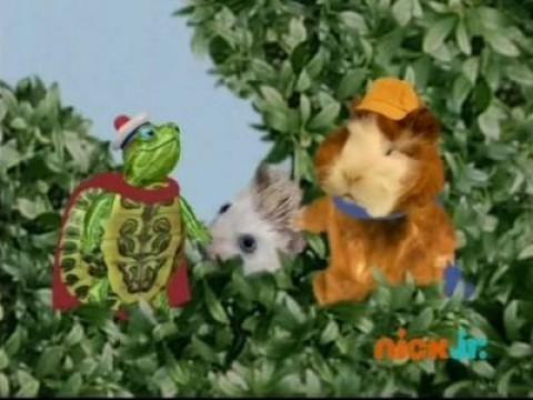 Les Wonder Choux sauvent un hérisson