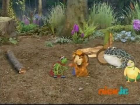 Les Wonder Choux sauvent un crapaud