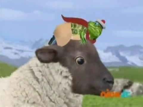 Les Wonder Choux sauvent un mouton