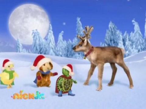 Les Wonder Choux sauvent un renne
