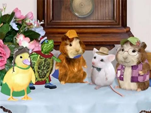 Les Wonder Choux sauvent la vieille souris blanche