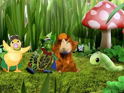 Les Wonder Choux sauvent le ver luisant