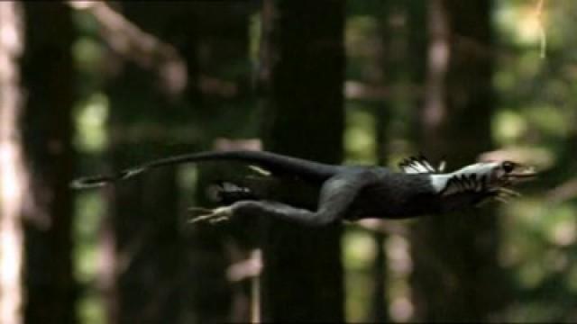 Gli uccelli preistorici
