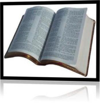 Battle of the Bibles