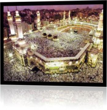 The Islamic Connection