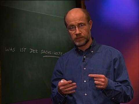 Was ist der Sachs-Wolfe-Effekt?