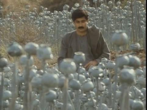 The Farmer