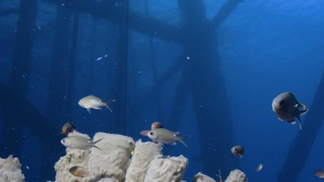 America's Underwater Treasures Part 1