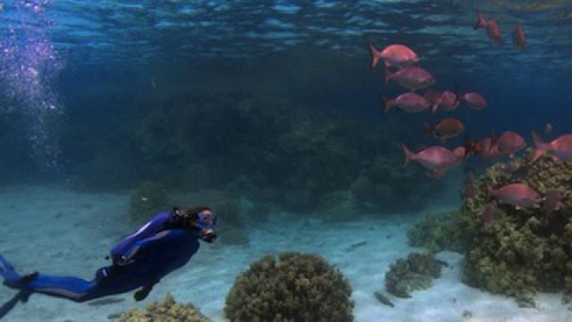 America's Underwater Treasures Part 2