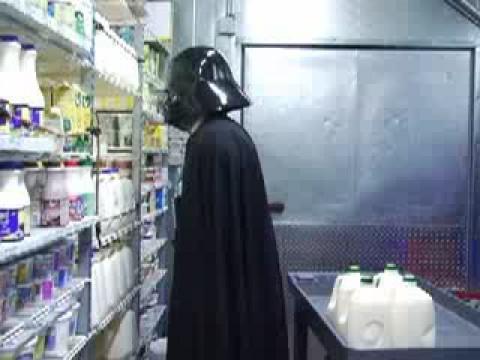 Dog In The Store