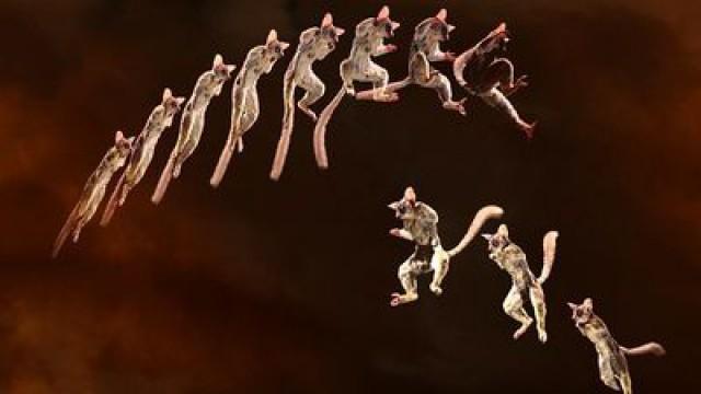 Vida en movimiento