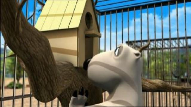 The Zoo