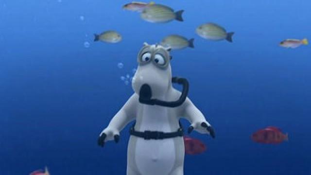 Immersioni in subacquea