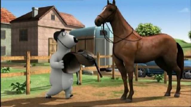 L'addestramento del cavallo