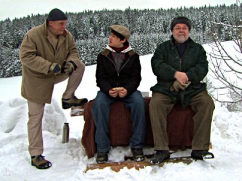 Viele Köche