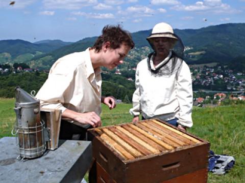 Von Hormonen und Currywürsten