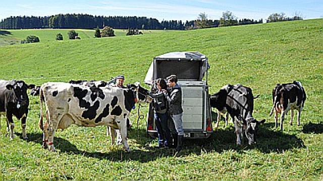 Erleuchtung