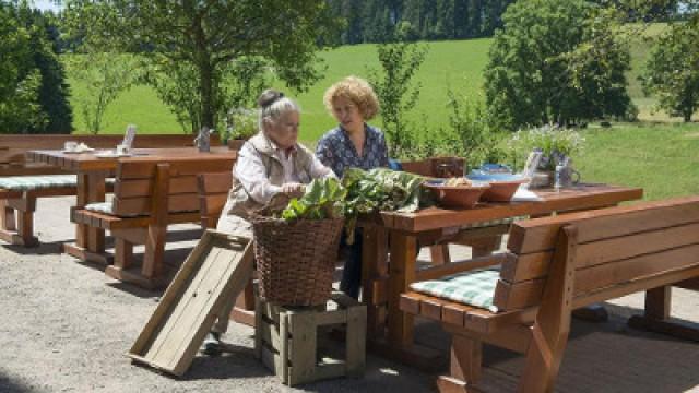 Wahlverwandtschaften