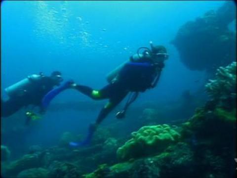Best Dives