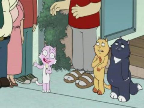 Sex and the Kitties