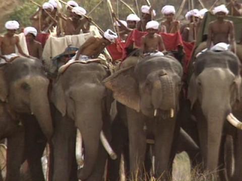 The Maurya: Warriors of the Elephant