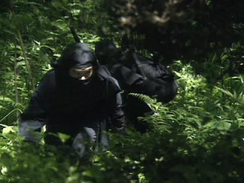 The Ninja: Warriors of the Night