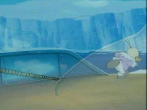 De walvis