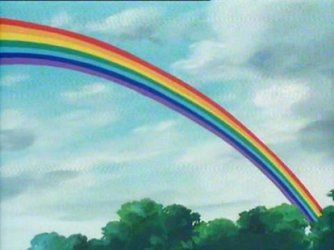 De regenboog