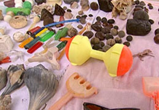 Earth: Flotsam Found