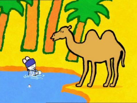 Didou, dessine-moi un chameau