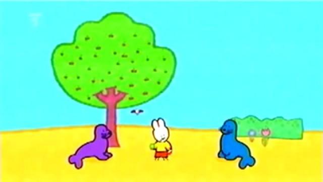 Didou, dessine-moi une Otarie