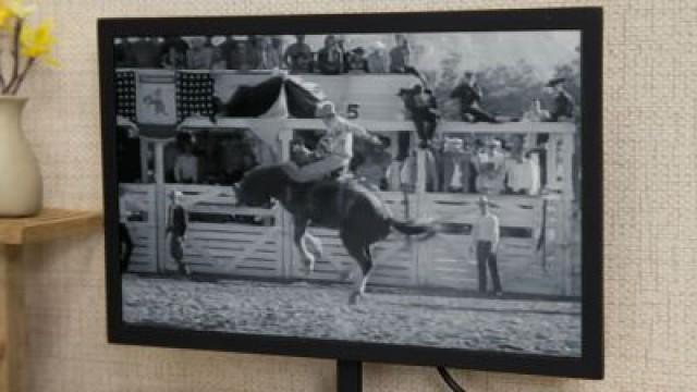 Rodeo