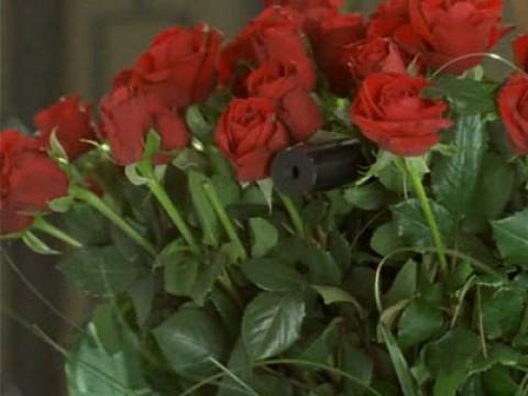 Rosas rojas