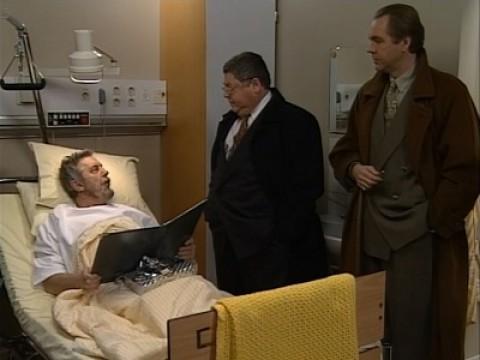 En hjältes skepnad