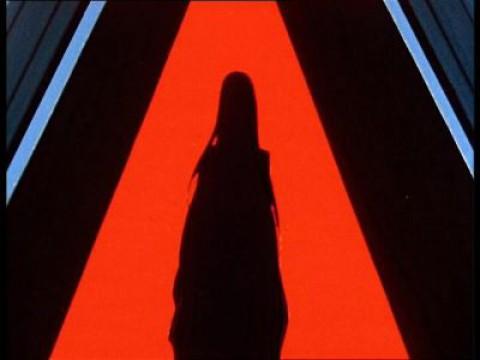 Lungo viaggio verso la patria