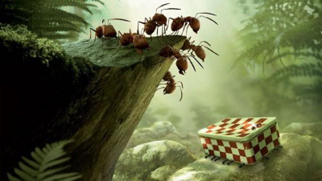 Minuscule : La Vallée des fourmis perdues