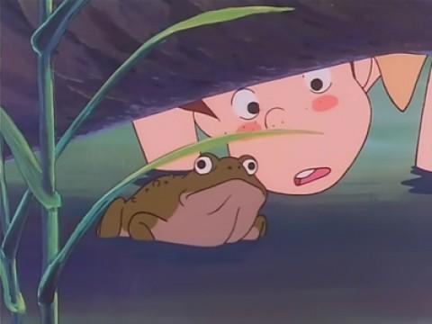 The Frog Contest