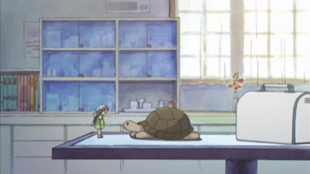 Pepper and The Dream of Mr. Turtle