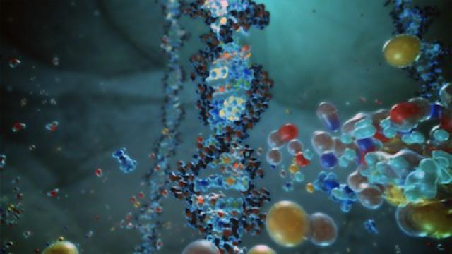 Finding the Origin of Life